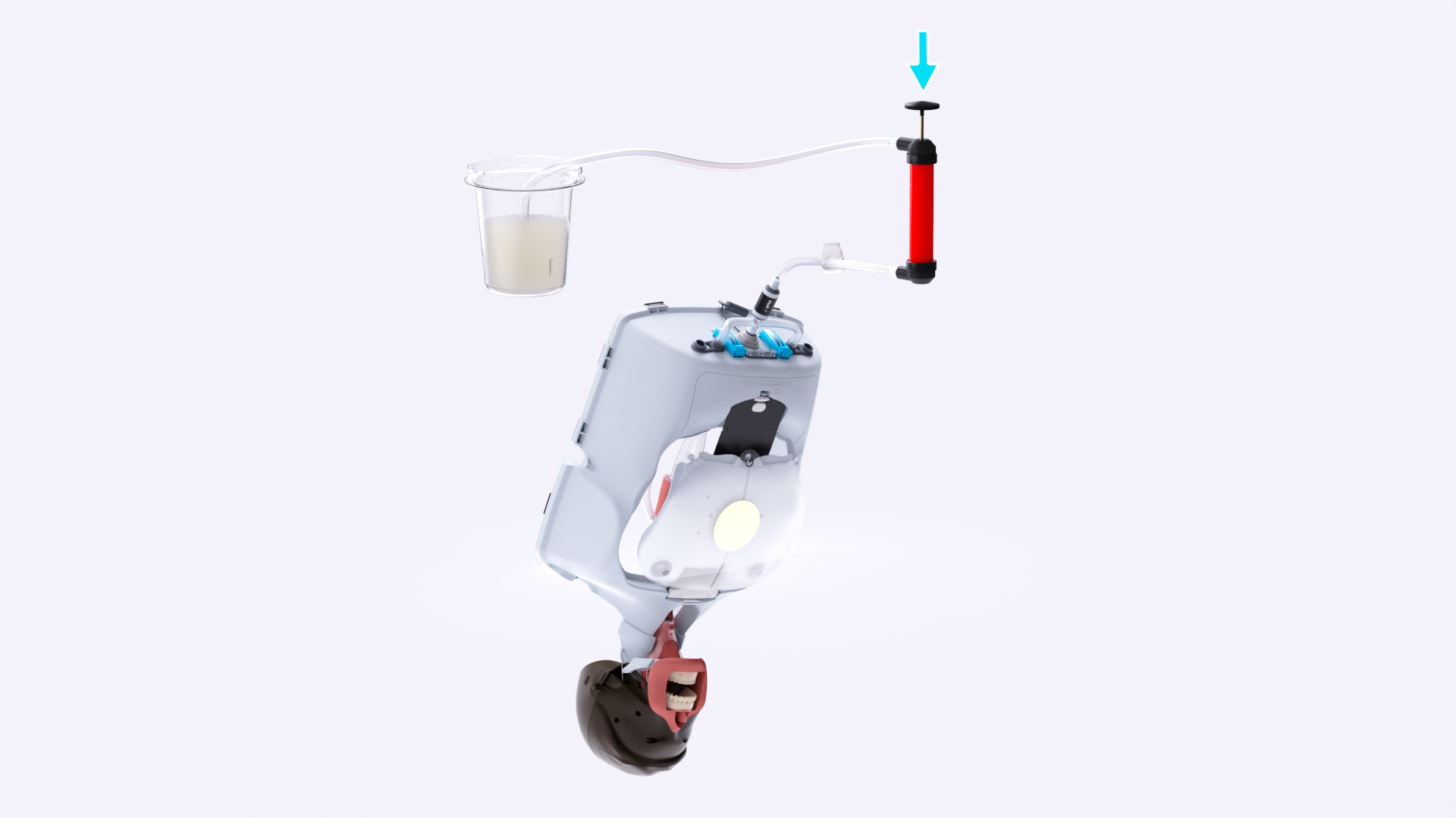 LAAS_flushing.jpg