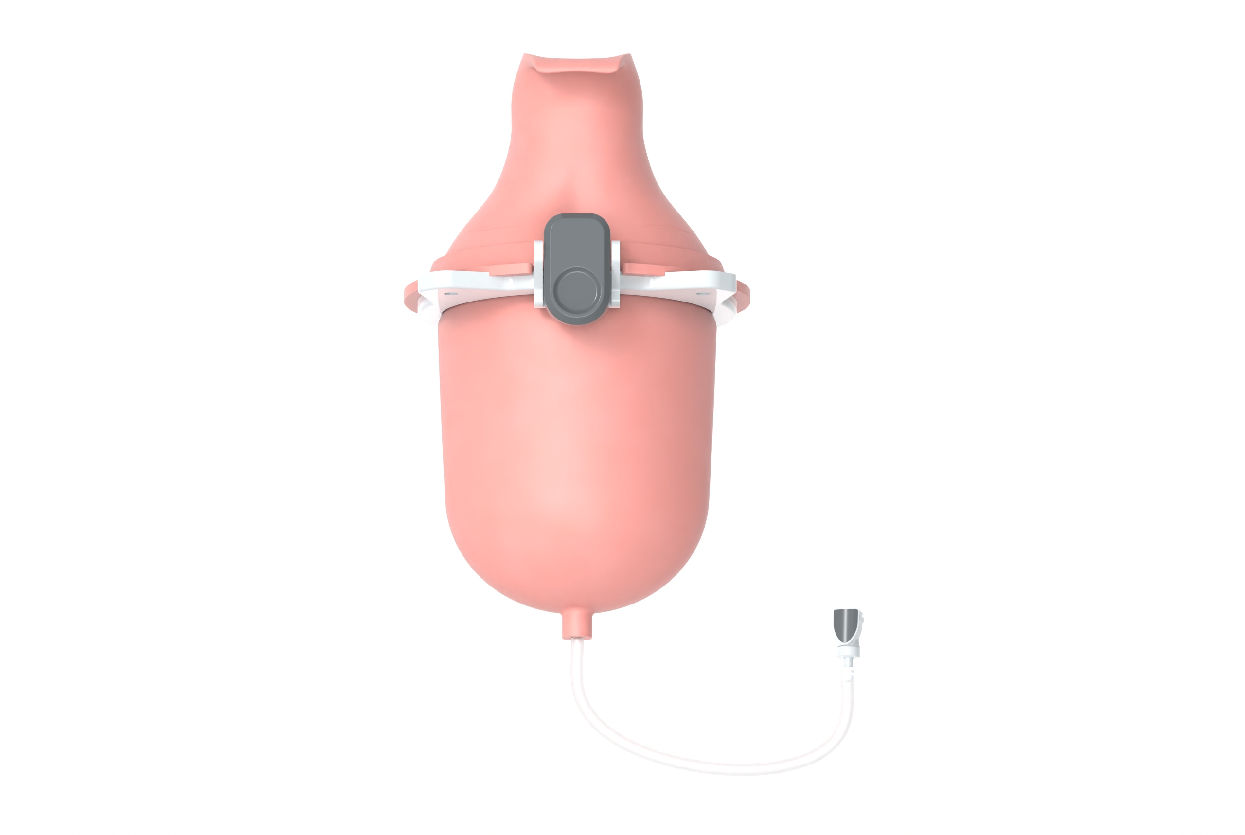 MA_Pelvis_Uterus_Overview_no_pointers.jpg