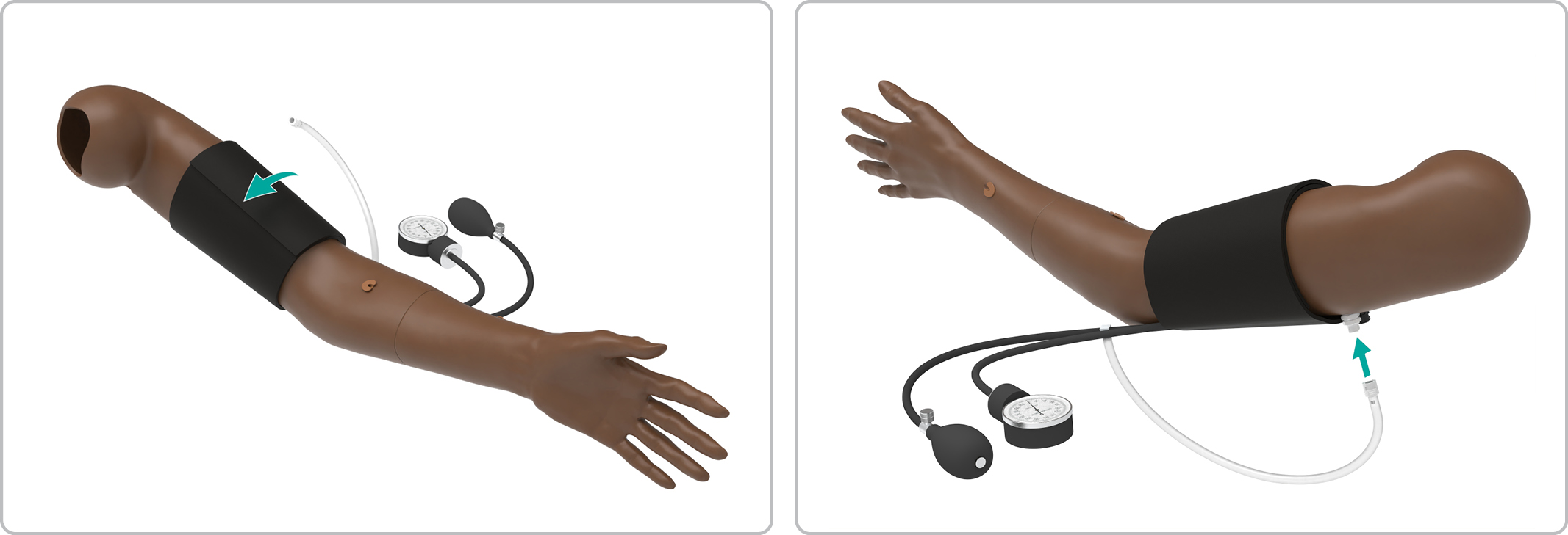 MA_BP_cuff_setup.jpg